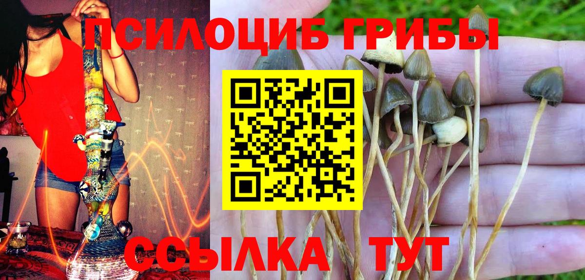 Галлюциногенные грибы Psilocybine cubensis  Вход с VPN  Азнакаево  где можно купить наркотик  Псилоцибиновые грибы Psilocybine cubensis 