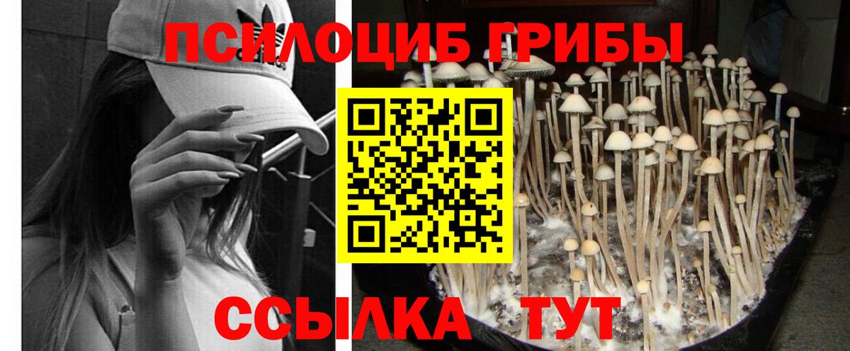Галлюциногенные грибы прущие грибы Азнакаево